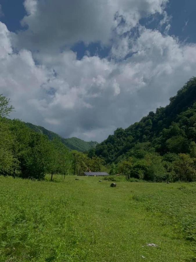 Nahei Cottage Мартвили Экстерьер фото